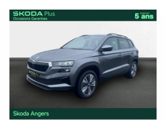 SKODA KAROQ Business