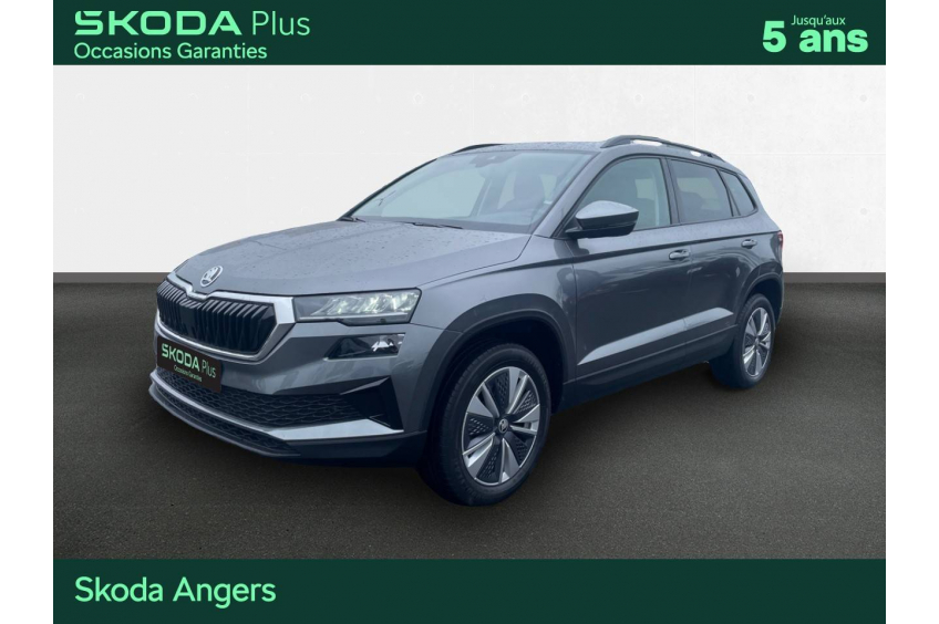 SKODA KAROQ Business