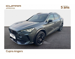 CUPRA FORMENTOR VZ Tribe Edition