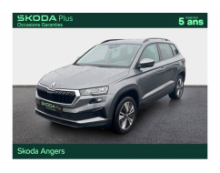 SKODA KAROQ Business