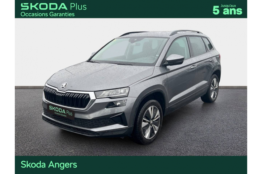 SKODA KAROQ Business