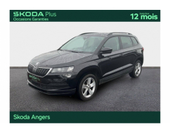 SKODA KAROQ Business