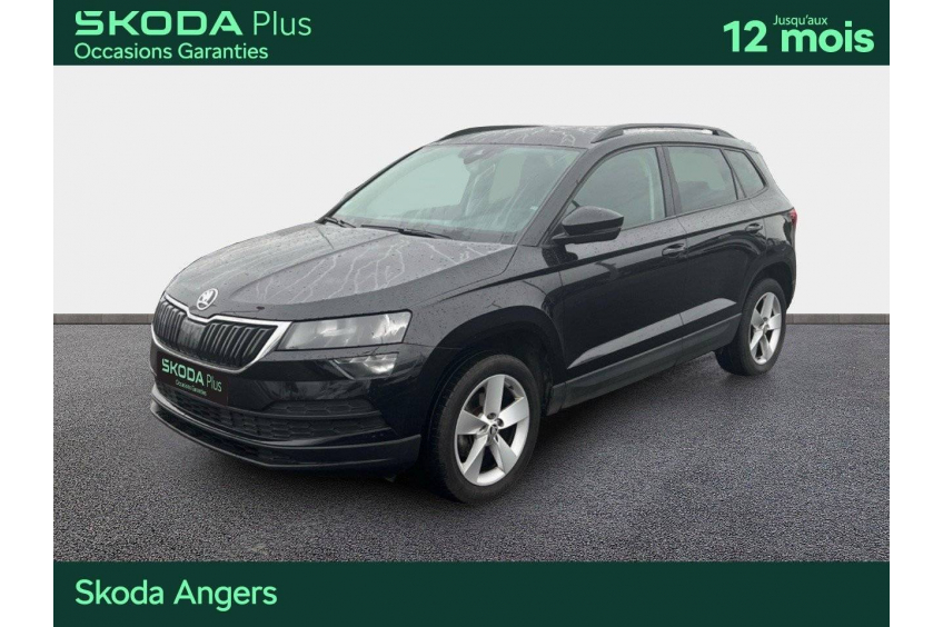 SKODA KAROQ Business